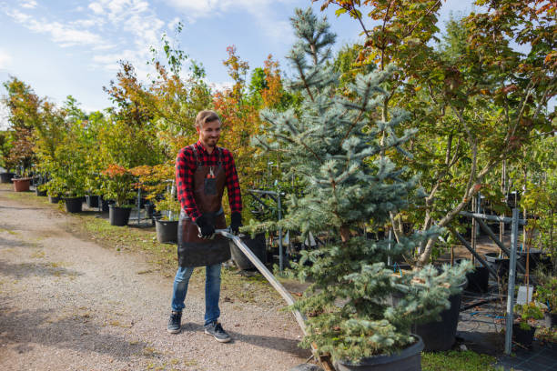 Best Seasonal Cleanup  in USA